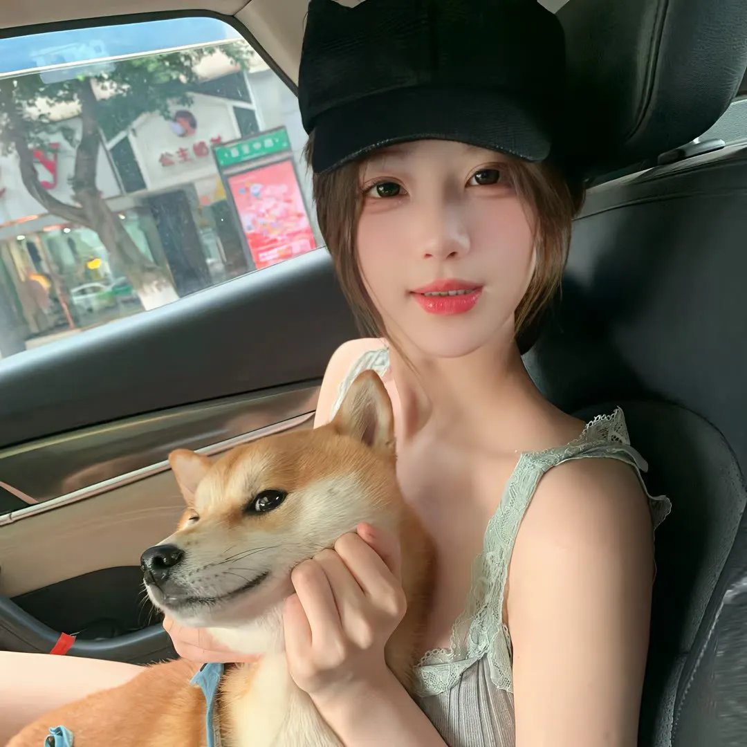 小狗当家